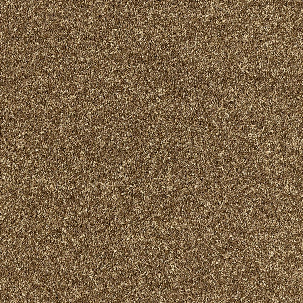 Abingdon Deep Feelings - Rich Caramel Carpet – by Abingdon Flooring – 1