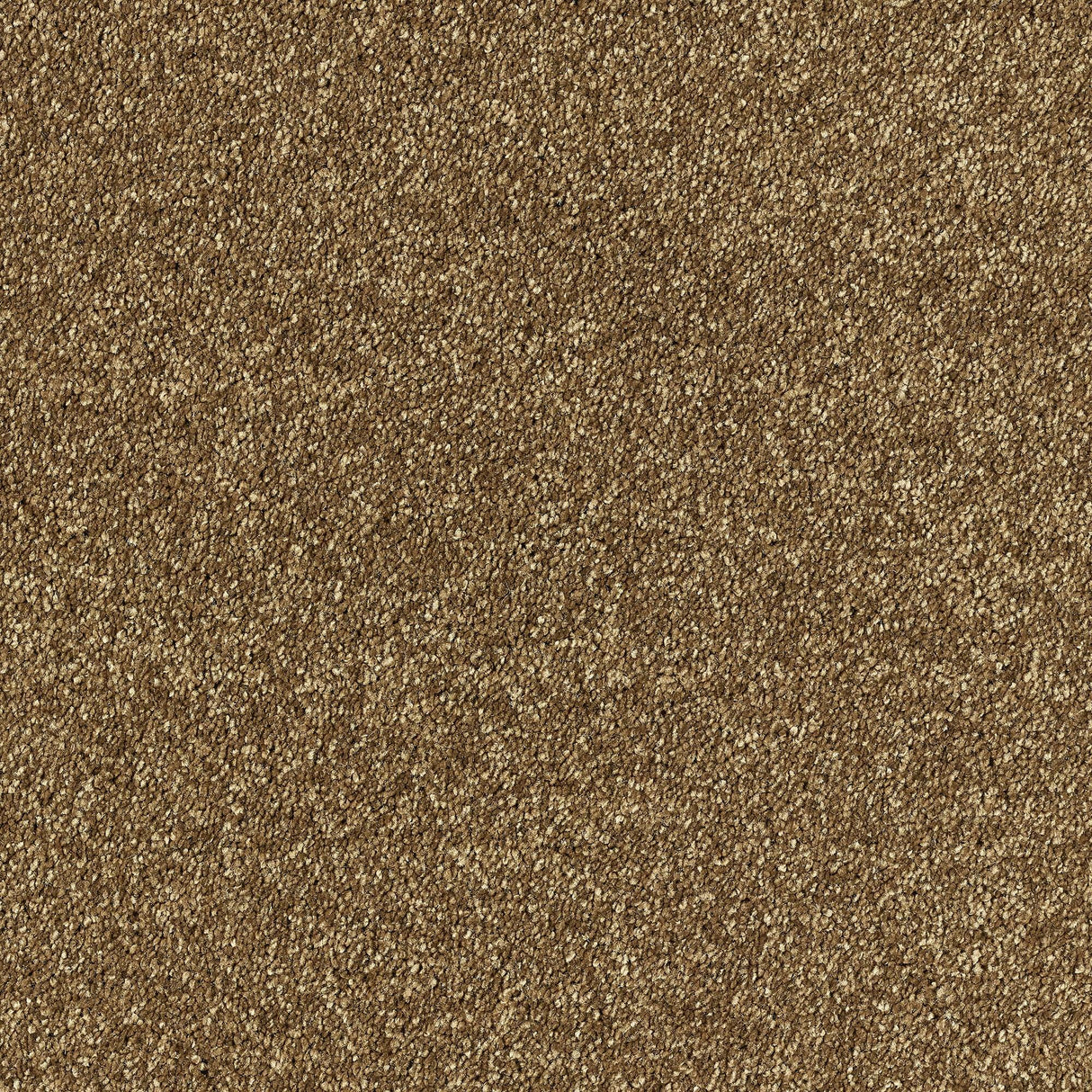 Abingdon Deep Feelings - Rich Caramel Carpet – by Abingdon Flooring – 1