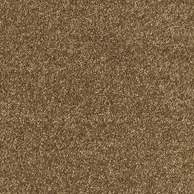 Abingdon Deep Feelings - Rich Caramel Carpet – by Abingdon Flooring – 1