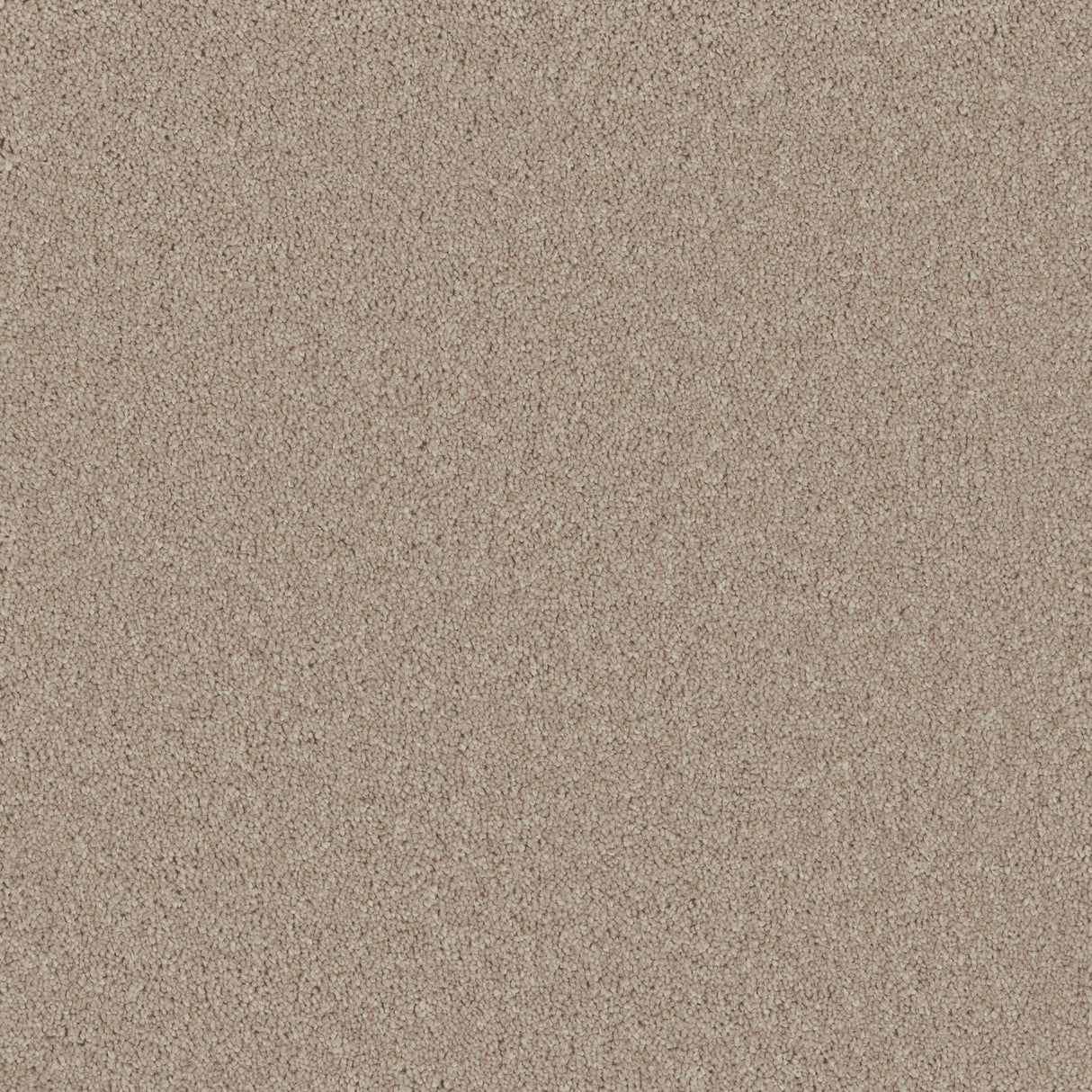 Bliss Deep Pile Carpet