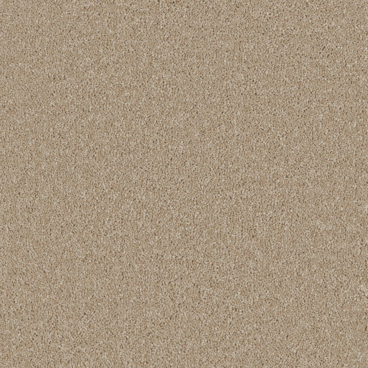 Bliss Deep Pile Carpet