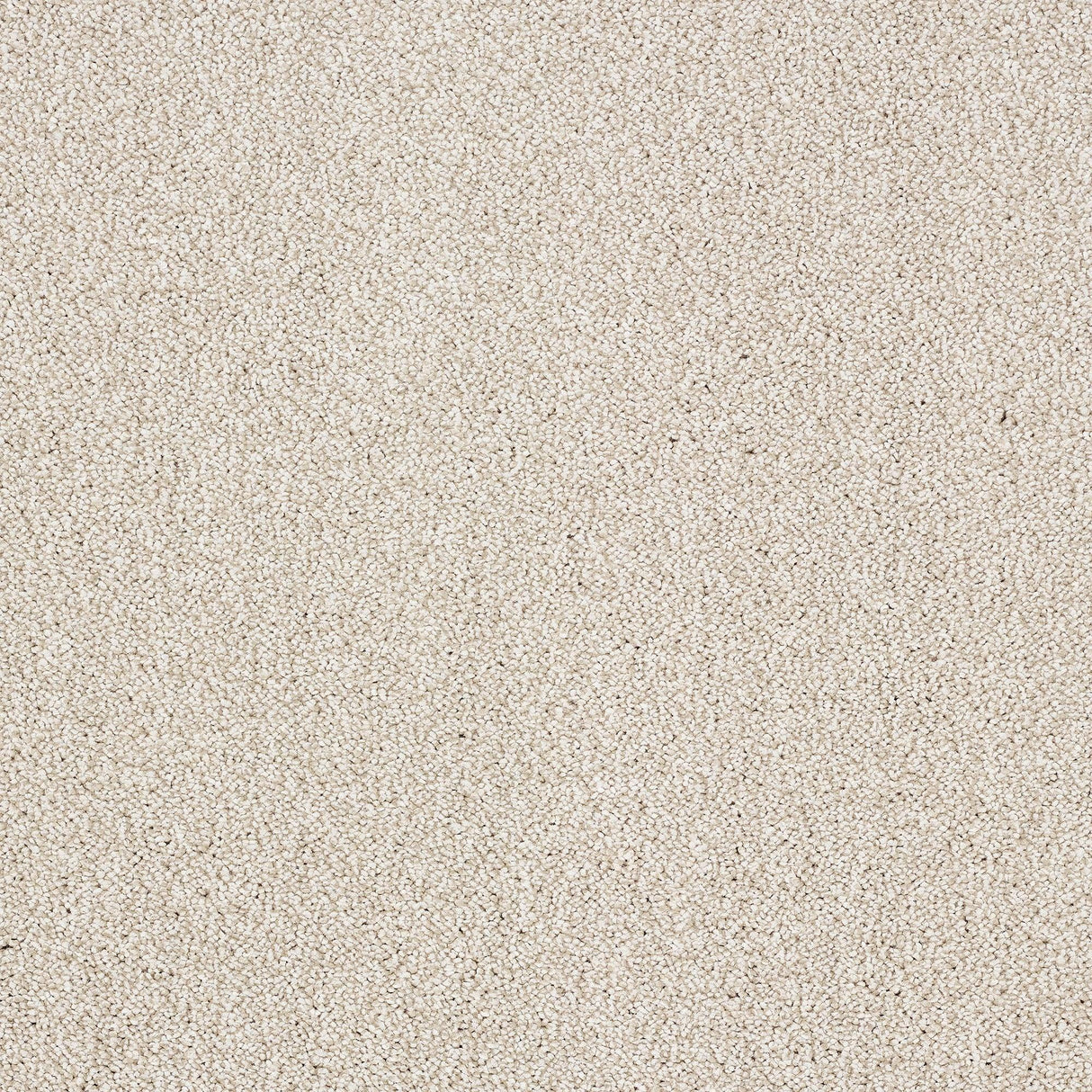 Abingdon Aristocat - Mother of Pearl Carpet – by Abingdon Flooring – 1