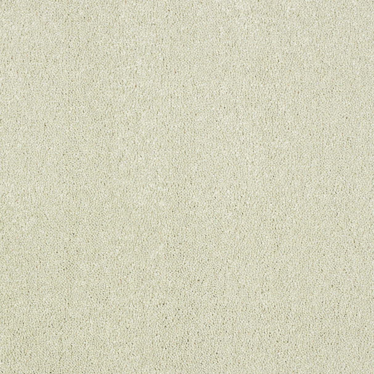 Abingdon Aristocat - Vanilla Carpet – by Abingdon Flooring – 1