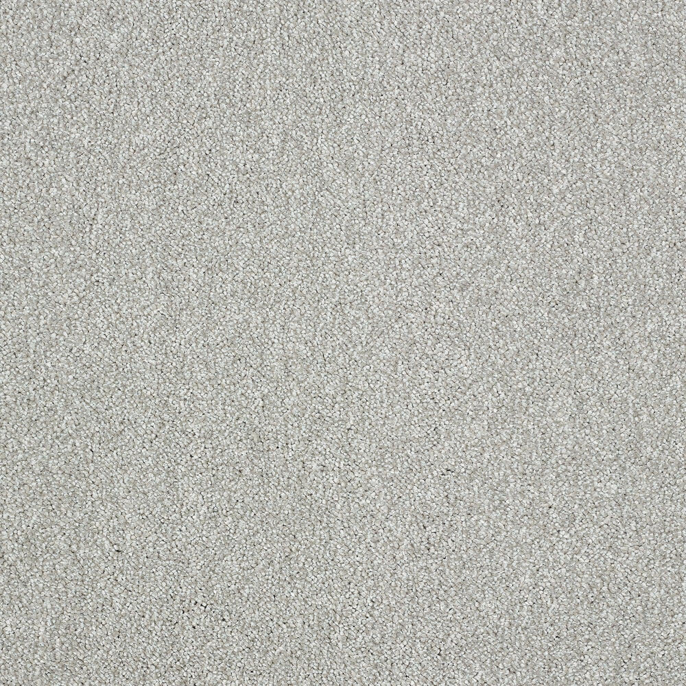 Abingdon Aristocat - Mecury Carpet – by Abingdon Flooring – 1