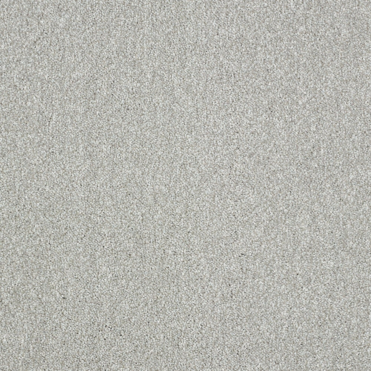 Abingdon Aristocat - Mecury Carpet – by Abingdon Flooring – 1
