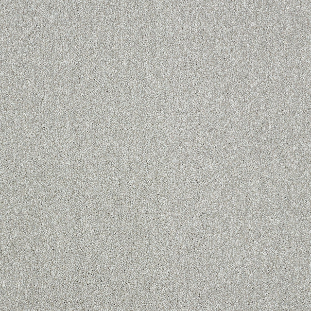 Abingdon Aristocat - Mecury Carpet – by Abingdon Flooring – 1