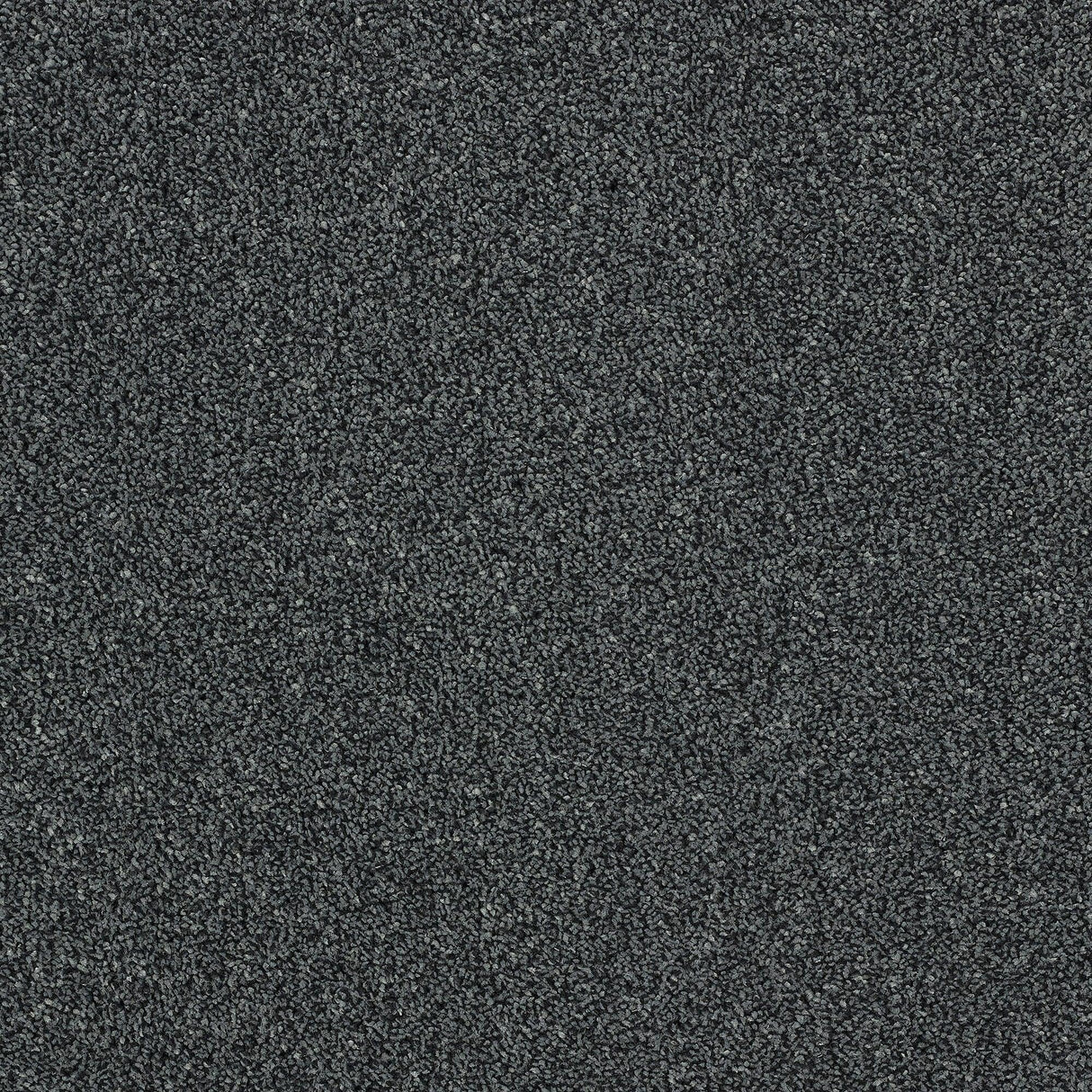 Abingdon Aristocat - Jet Carpet – by Abingdon Flooring – 1