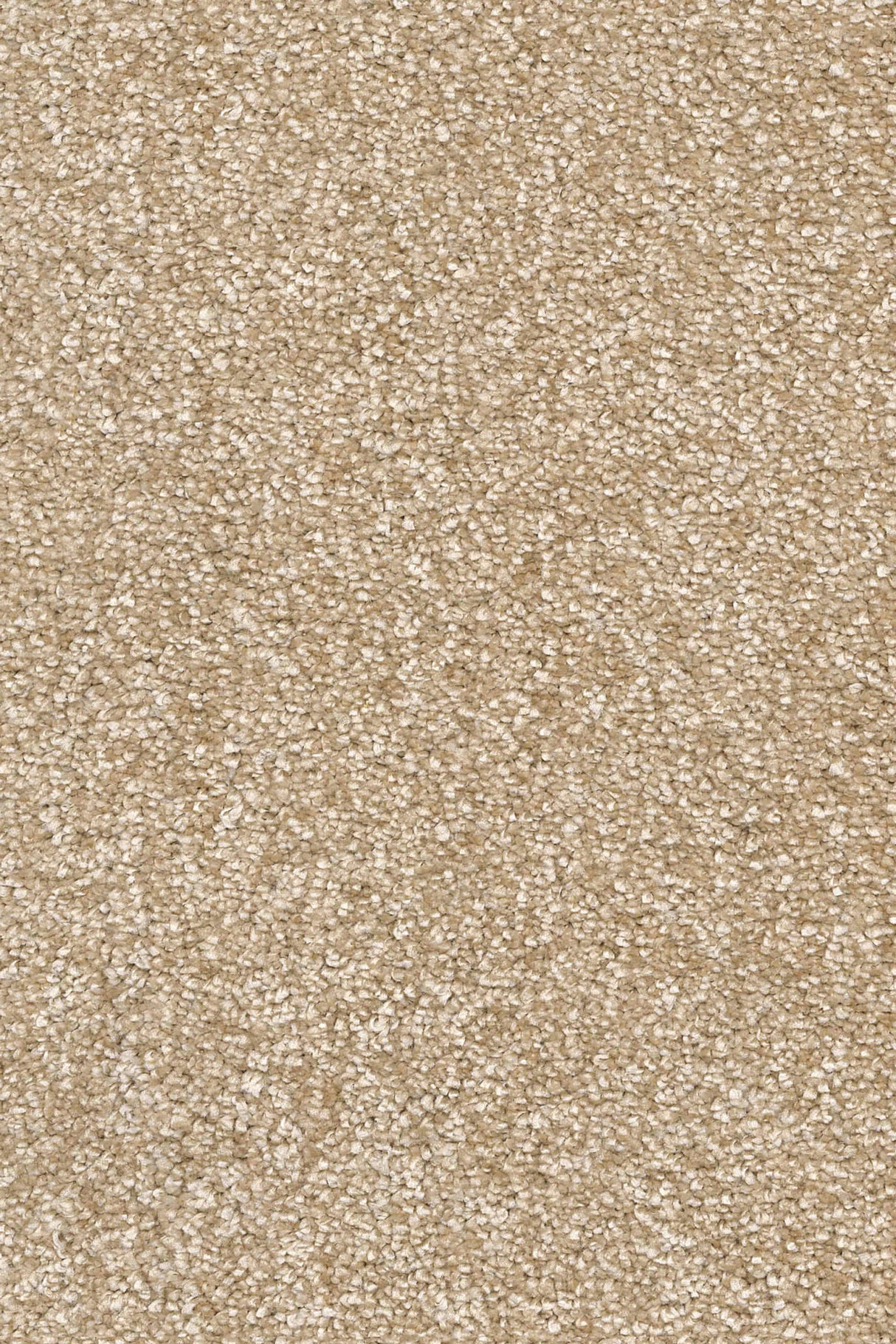 Calla Plush Carpet