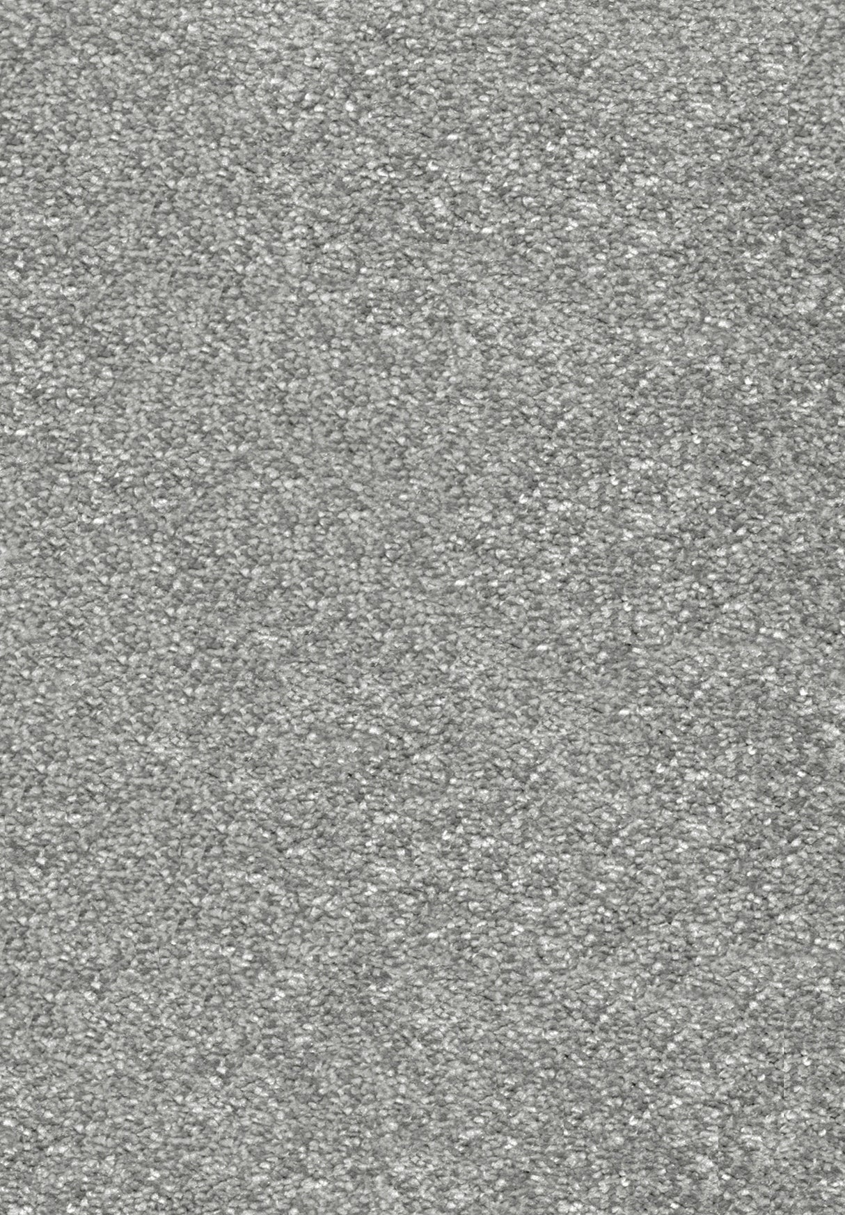 Invictus Centurion - Steel Grey Carpet – by Associated Weavers – 1