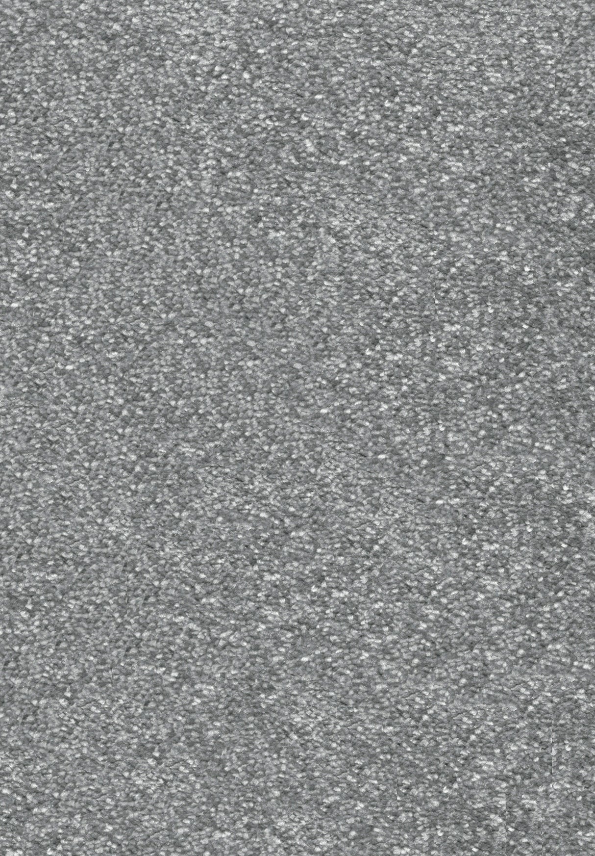 Invictus Centurion - Slate Carpet – by Associated Weavers – 1
