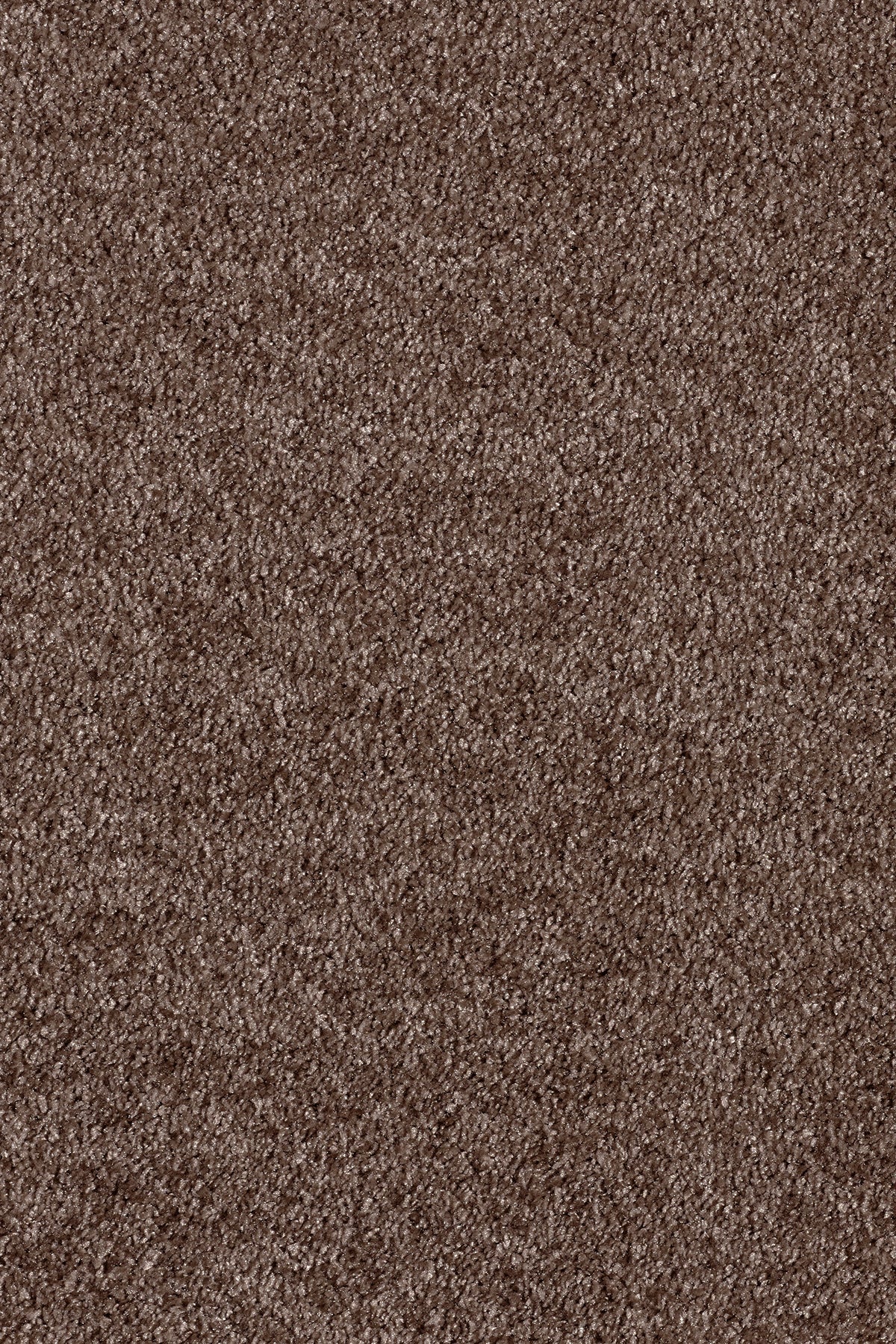 Gaia Orinoco - Havana Carpet – by Associated Weavers – 1