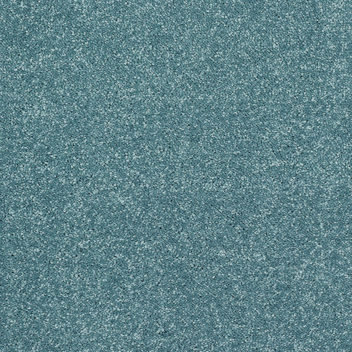 StainFree Caress Carpet