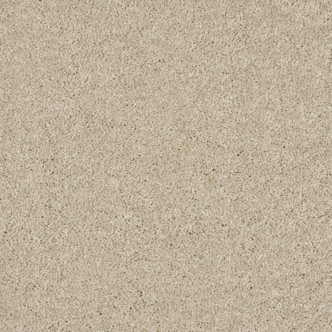 Love Story Seduction Carpet