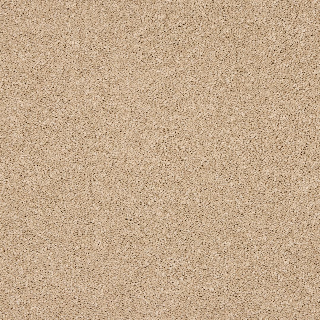 Love Story Seduction Carpet