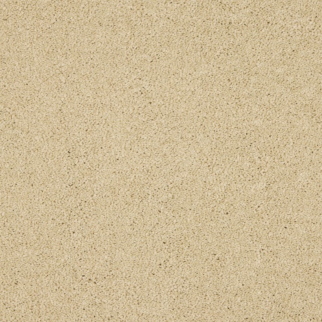 Love Story Seduction Carpet