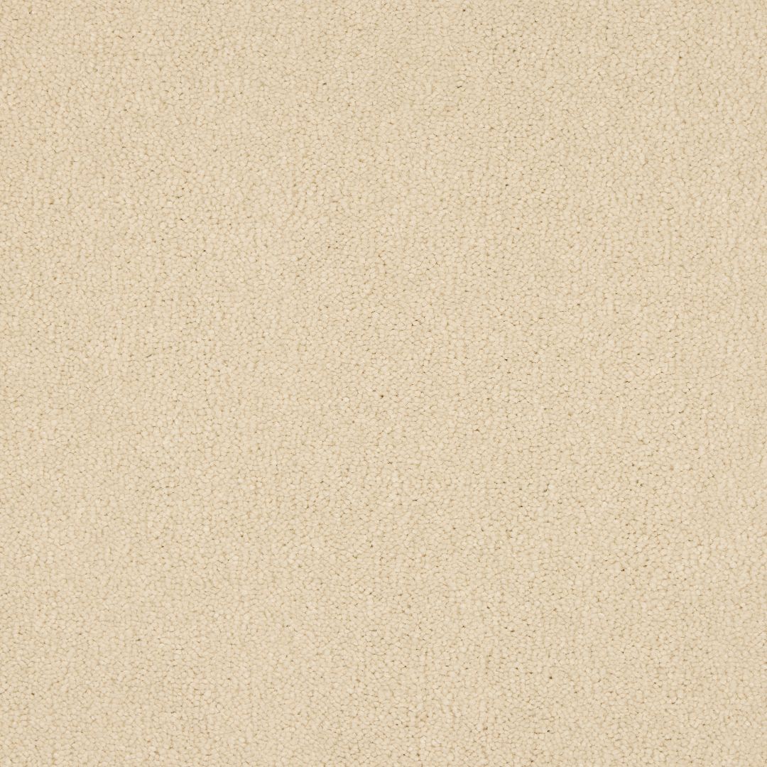 Euphoria Saxony- Almond Milk Carpet – by Abingdon Flooring – 1