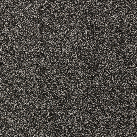 Abingdon Stainfree Affluence - Anthracite Carpet – by Abingdon Flooring – 1