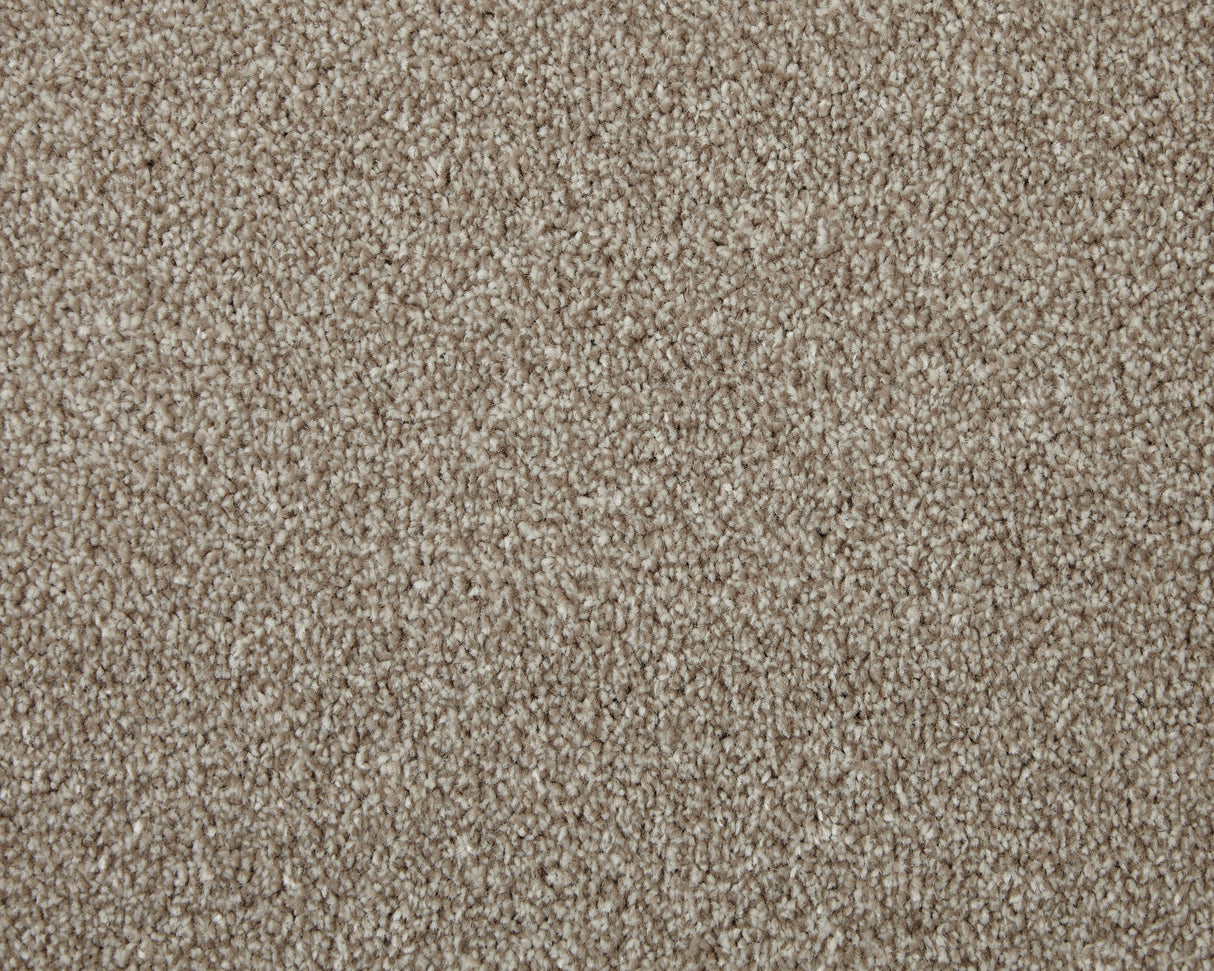 Cormar Apollo Elite - Charente Beige Carpet – by Cormar Carpets – 1