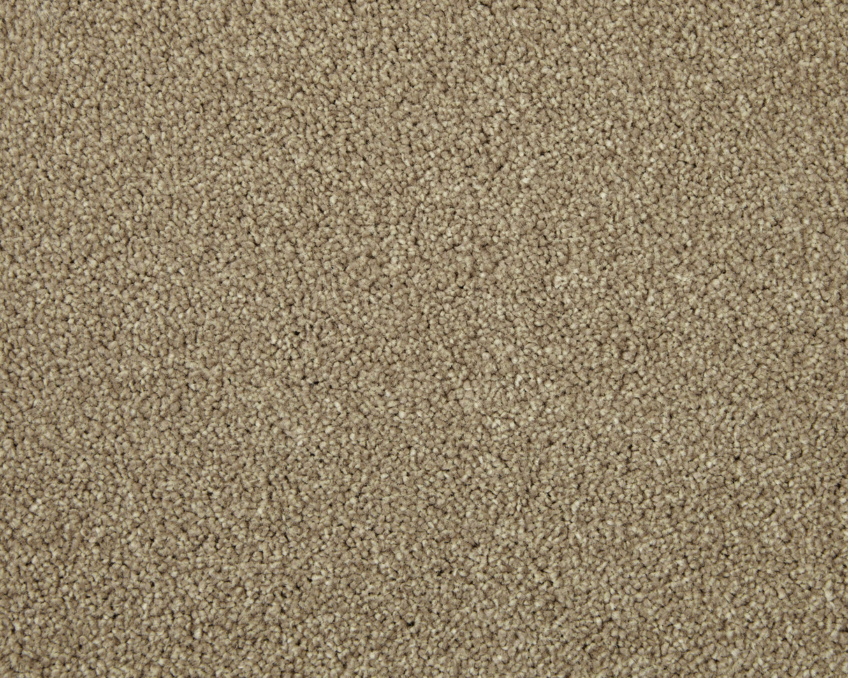 Cormar Apollo Elite - Helmsley Hazelnut Carpet – by Cormar Carpets – 1