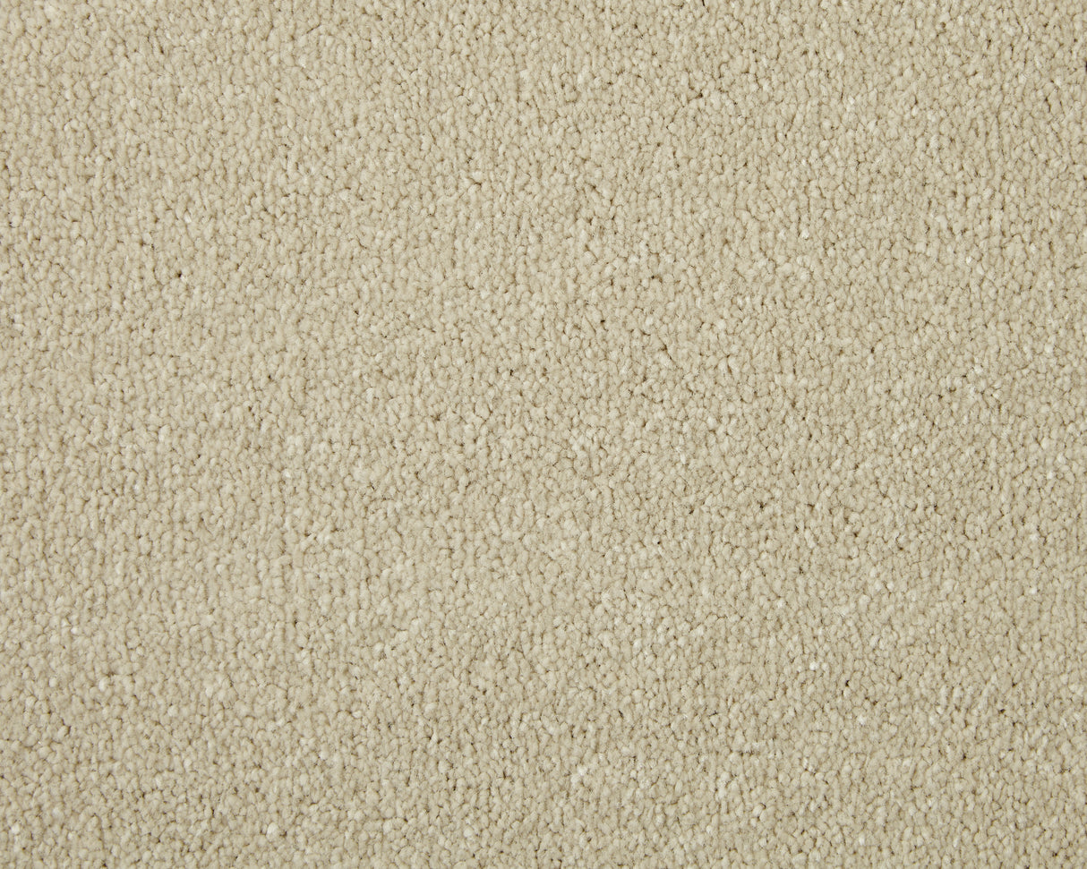 Cormar Apollo Elite - Pale Angora Carpet – by Cormar Carpets – 1