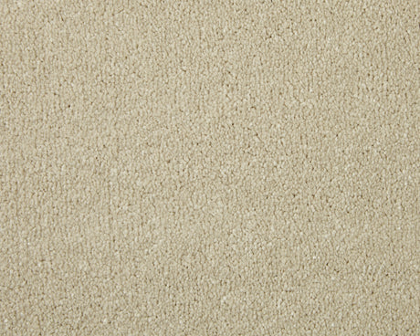 Cormar Apollo Elite - Pale Angora Carpet – by Cormar Carpets – 1