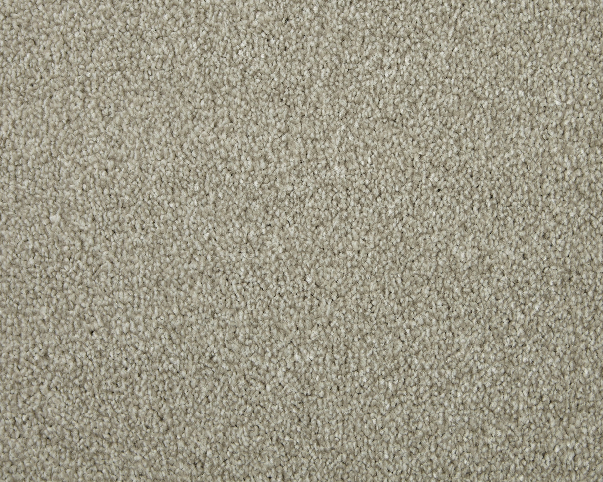 Cormar Apollo Elite - Peanut Carpet – by Cormar Carpets – 1