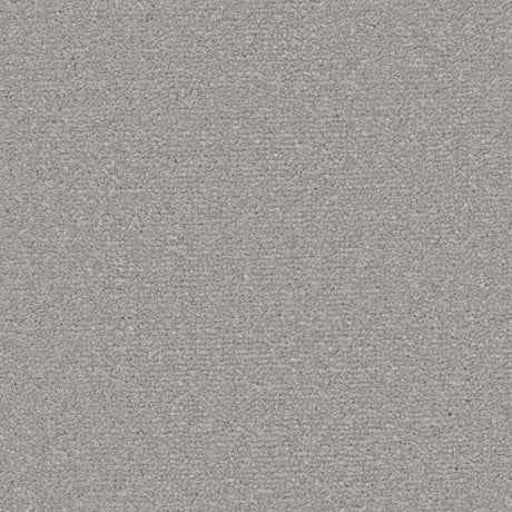 Cormar Apollo Plus - Aluminium Carpet – by Cormar Carpets – 1
