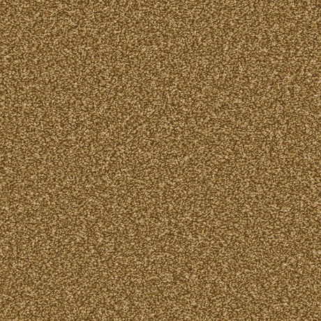 Cormar Apollo Plus - Bumblebee Carpet – by Cormar Carpets – 1