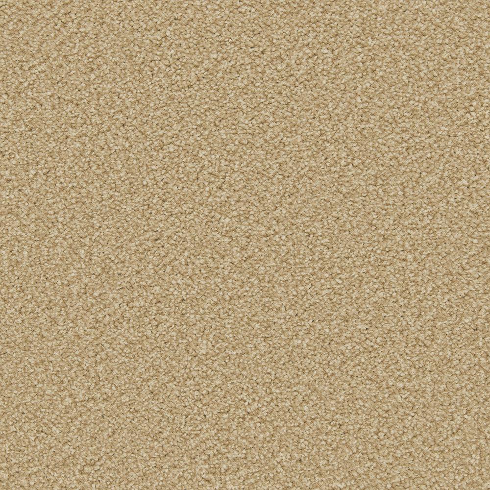 Cormar Apollo Plus - Caramel Carpet – by Cormar Carpets – 1