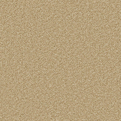 Cormar Apollo Plus - Caramel Carpet – by Cormar Carpets – 1