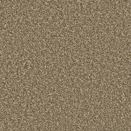 Cormar Apollo Plus - Cork Oak Carpet – by Cormar Carpets – 1