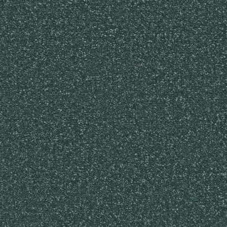 Cormar Apollo Plus - Marine Carpet – by Cormar Carpets – 1