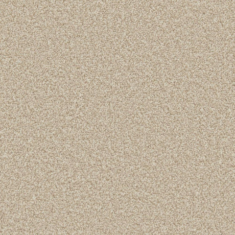 Cormar Apollo Plus - Shortbread Carpet – by Cormar Carpets – 1