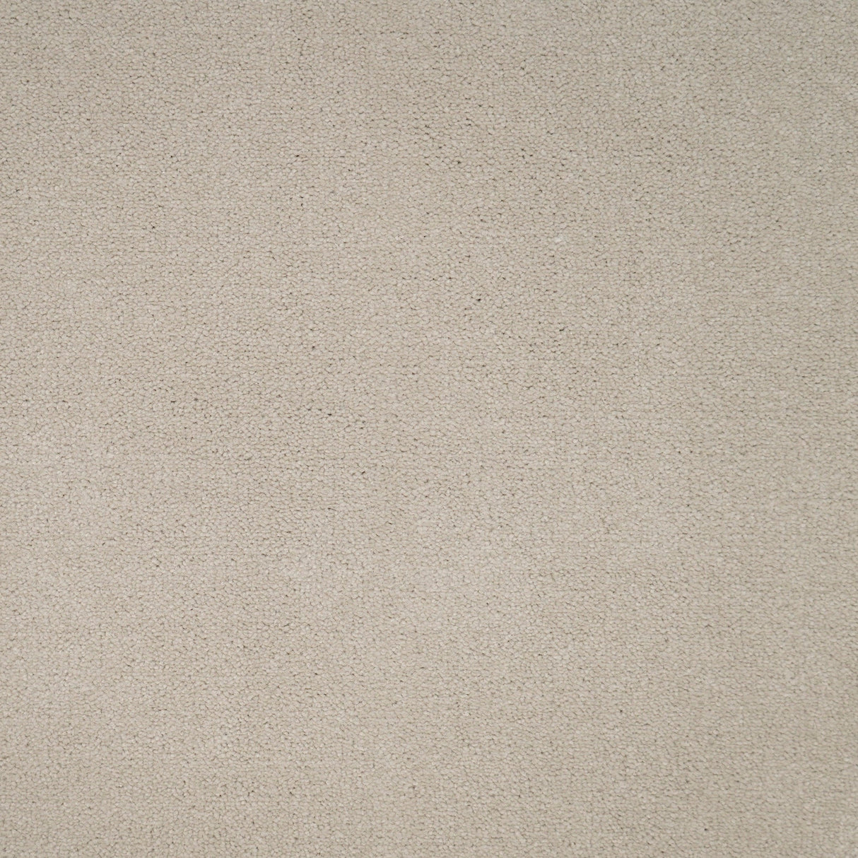 Furlongs Avondale Plain - Gabbiano – by Furlong Flooring – 1