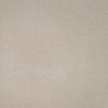Furlongs Avondale Plain - Gabbiano – by Furlong Flooring – 1