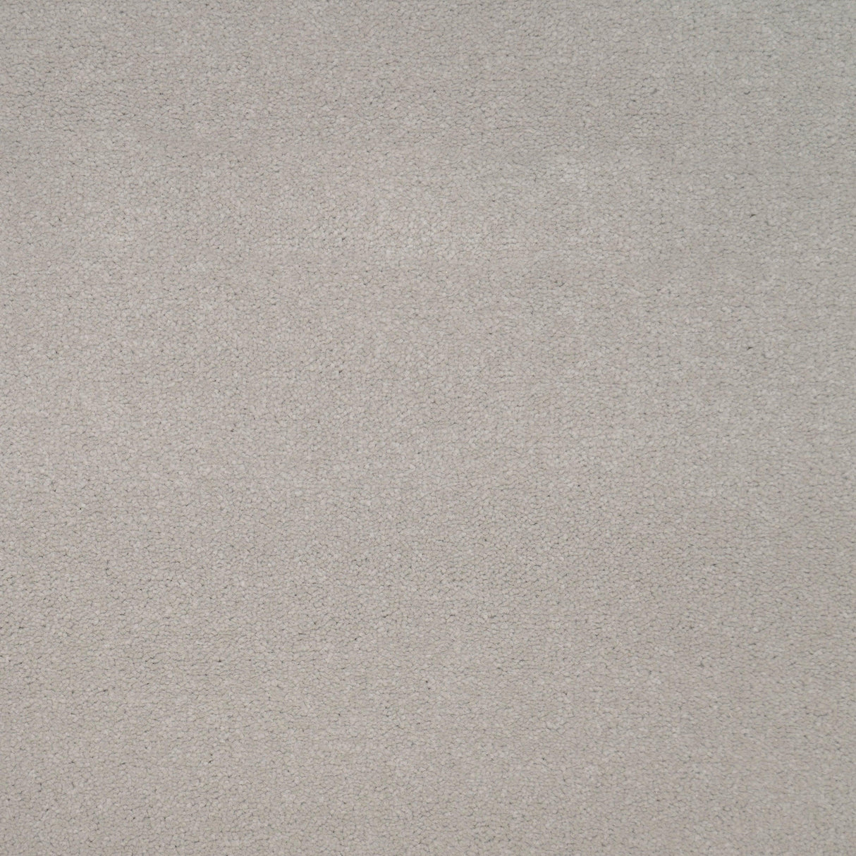 Avondale Plains Carpet