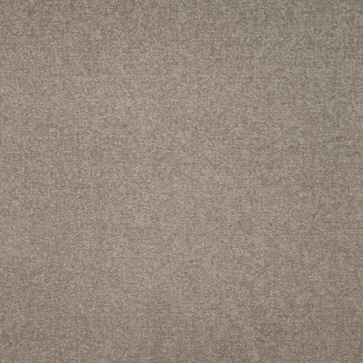 Furlongs Avondale Plain - Nimbus – by Furlong Flooring – 1