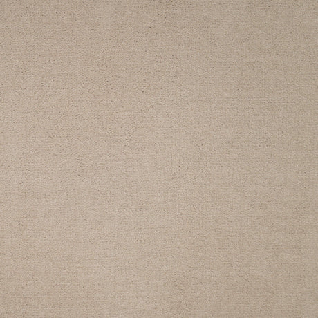 Furlongs Avondale Plain - Papyrus – by Furlong Flooring – 1