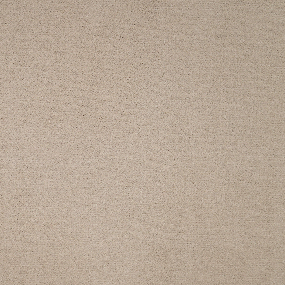 Avondale Plains Carpet