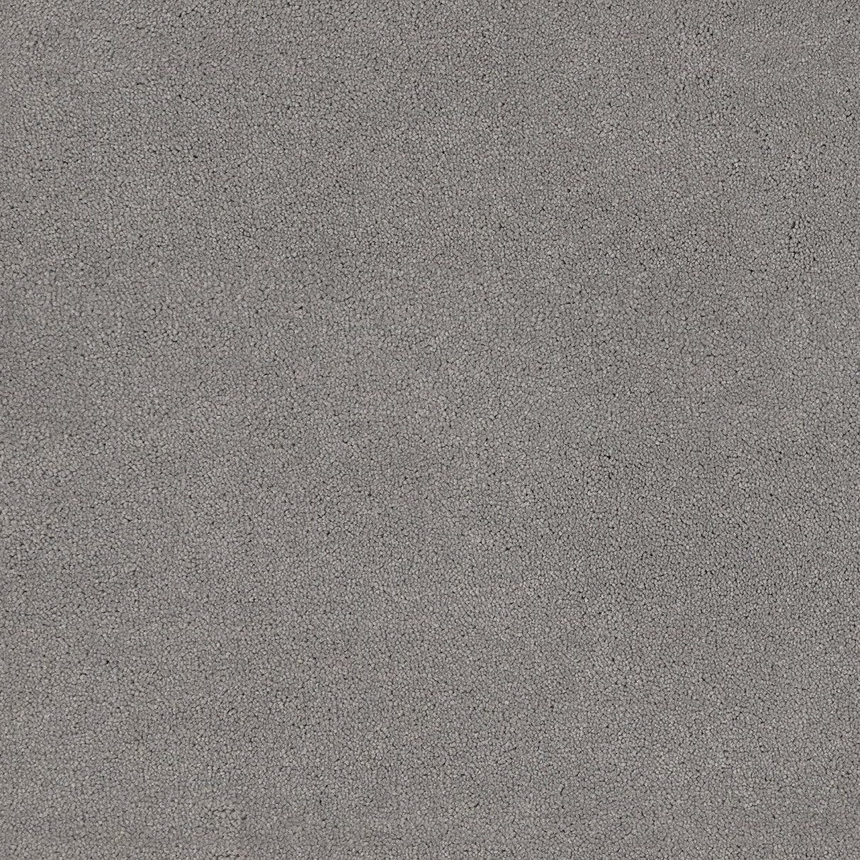 Furlongs Avondale Plain - Silver – by Furlong Flooring – 1
