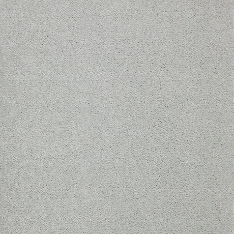 Furlongs Avondale Plain - Stone – by Furlong Flooring – 1