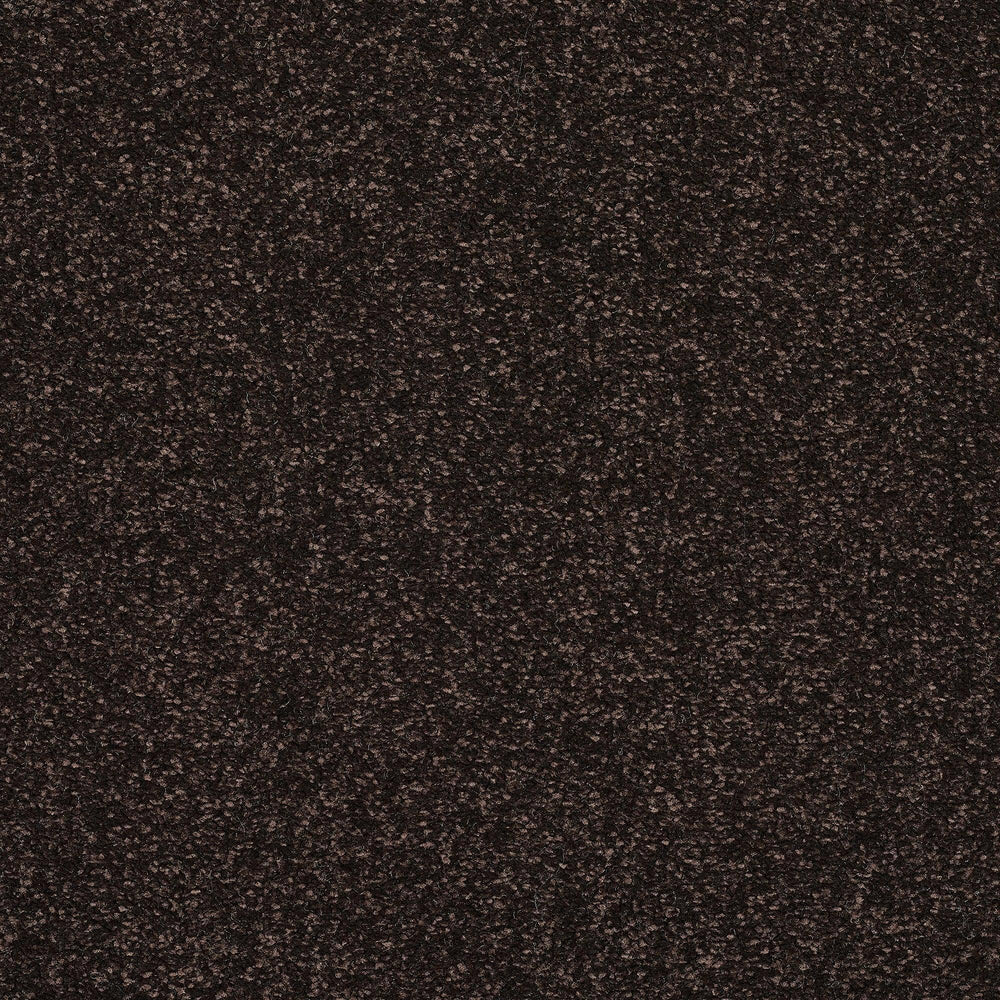 Abingdon Stainfree Caress - Bourneville Carpet – by Abingdon Flooring – 1