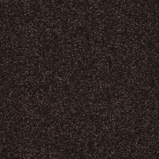 Abingdon Stainfree Caress - Bourneville Carpet – by Abingdon Flooring – 1