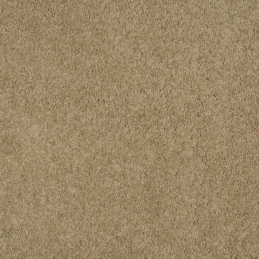 Magical Feeling Deep Pile - Camel Coat Carpet – by Balta Flooring – 1