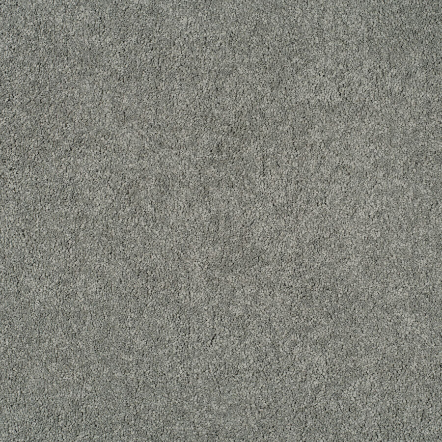 Magical Feeling Carpet