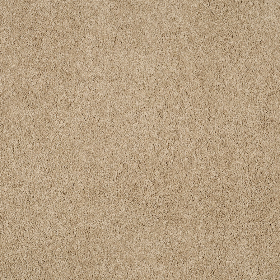 Magical Feeling Deep Pile - Muffin Delight Carpet – by Balta Flooring – 1