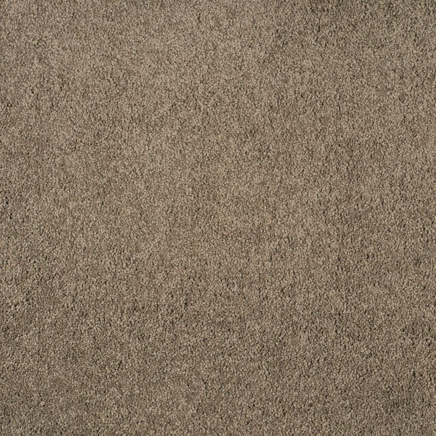 Magical Feeling Deep Pile - Warm Mocha Carpet – by Balta Flooring – 1