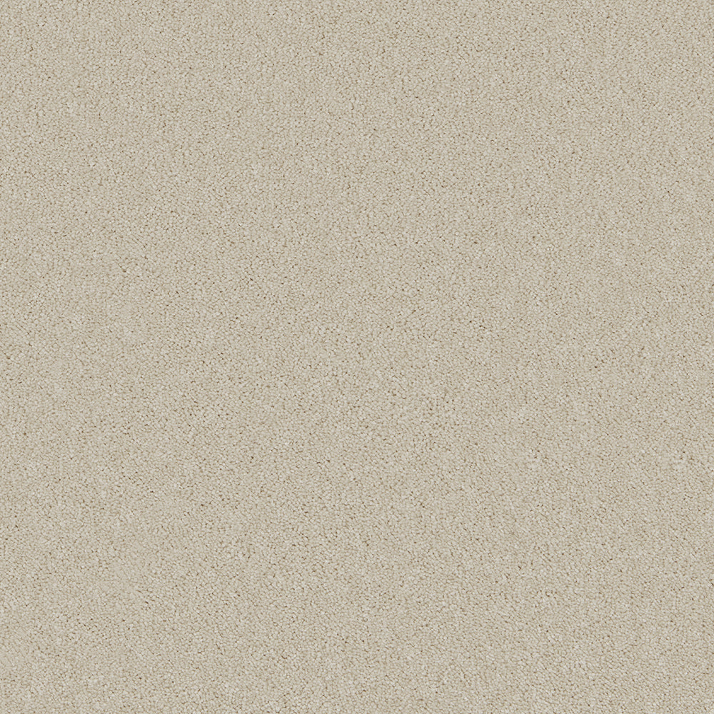 Bliss Deep Pile Carpet