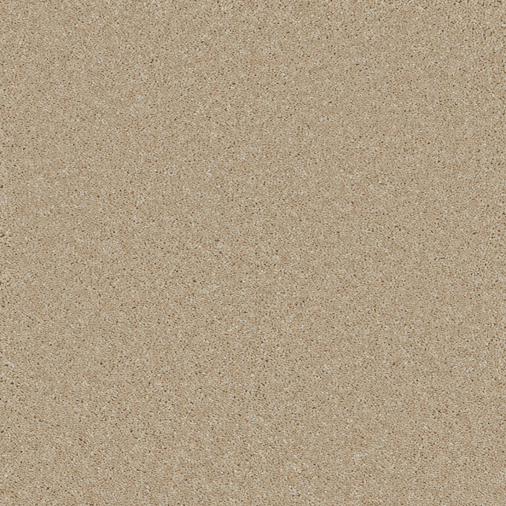 Bliss Deep Pile Carpet