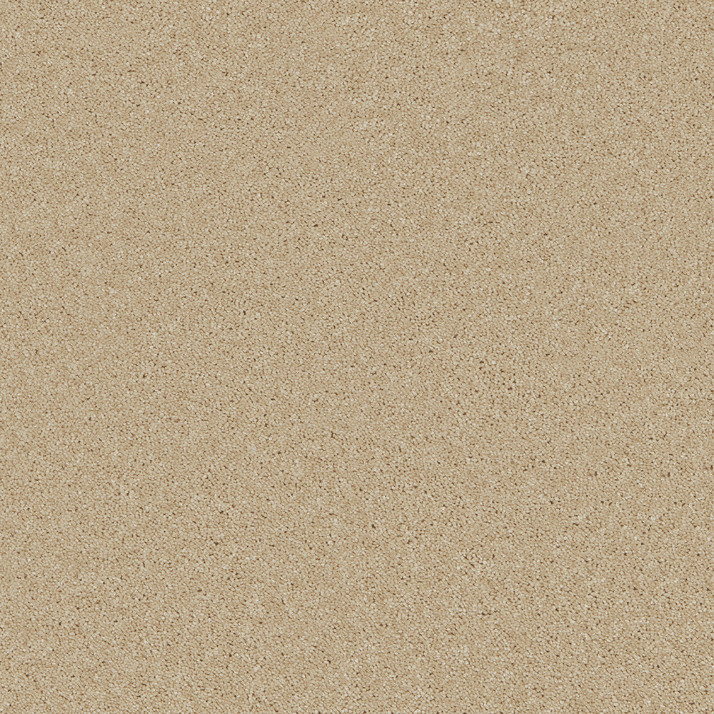 Bliss Deep Pile Carpet